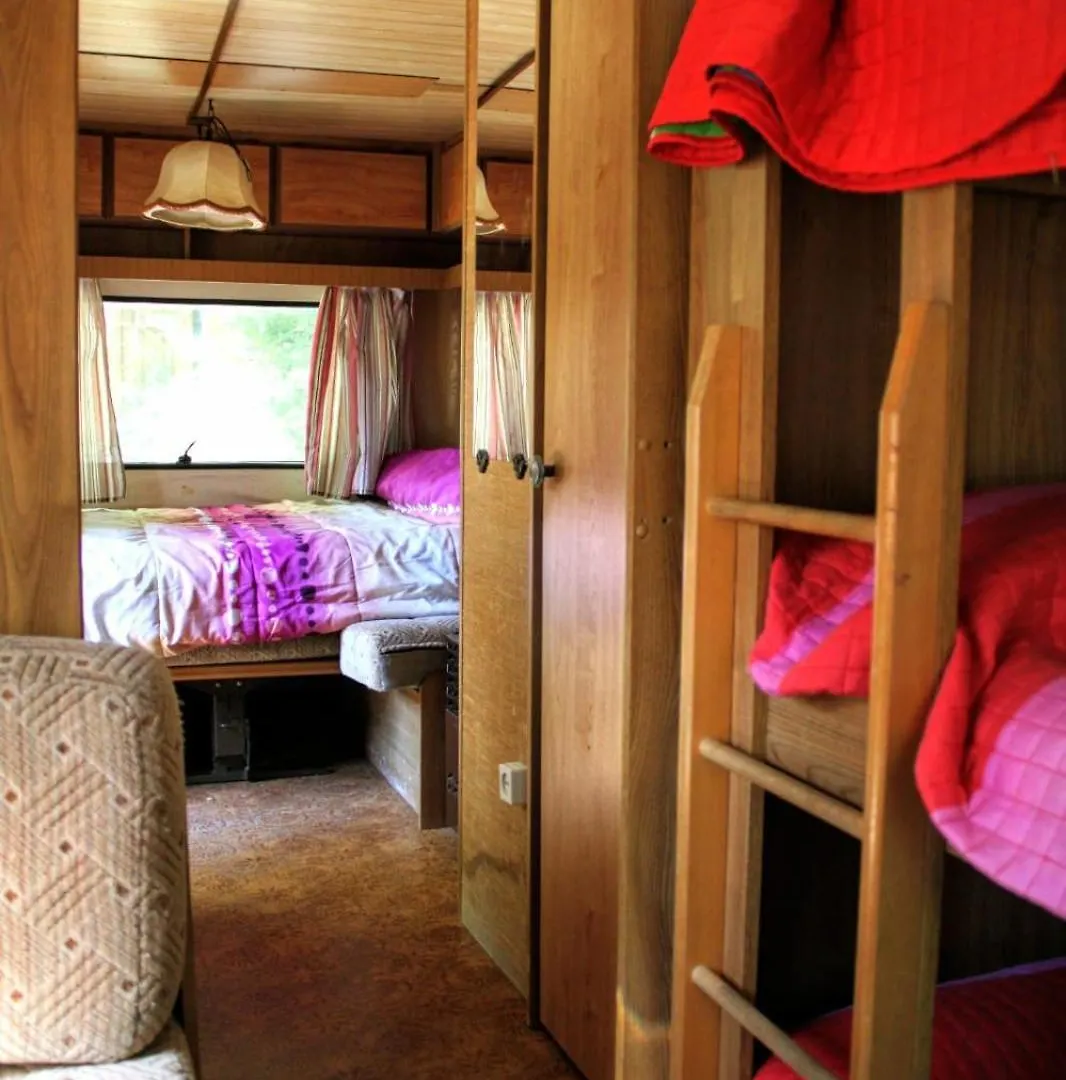 Campsite Camping Pirineos Cien Lagos Esterri D'Aneu